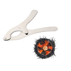 Sea urchin cutter
